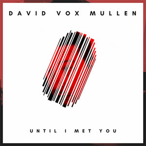 Until I Met You cover by David Vox Mullen